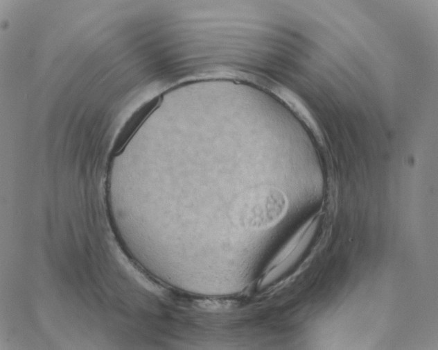 X0000088380805200706191306