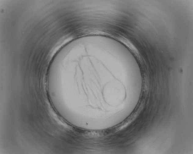 X0000088380806200706191306