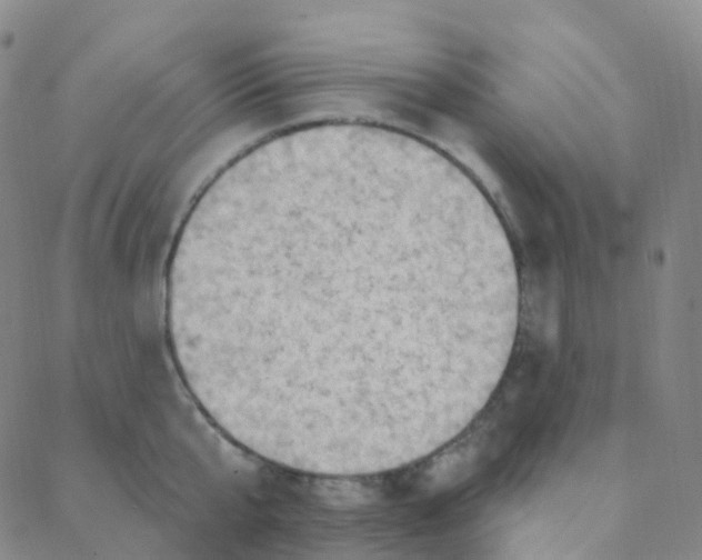 X0000088380807200706191306