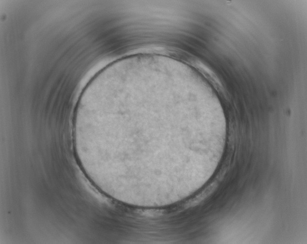 X0000088380808200706191306