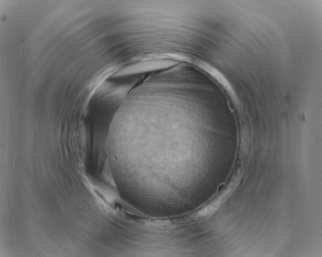 X0000088380809200706191306