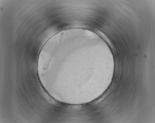 X0000088380810200706191306