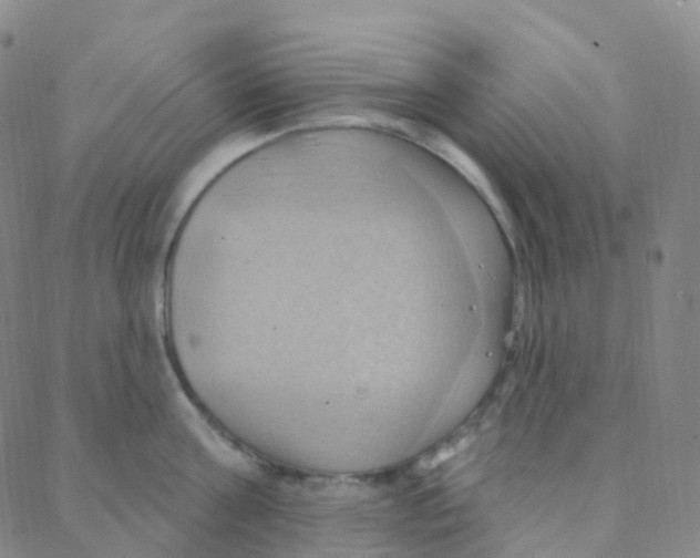 X0000088380811200706191306