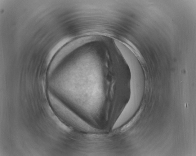 X0000088380812200706191306