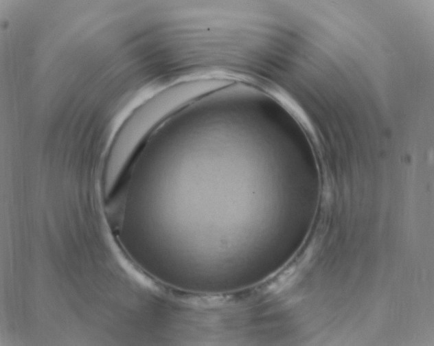 X0000088380813200706191306