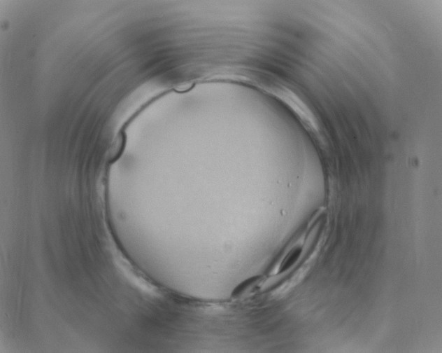 X0000088380814200706191306