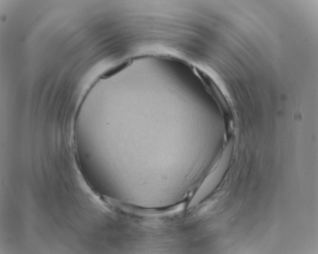 X0000088380815200706191306