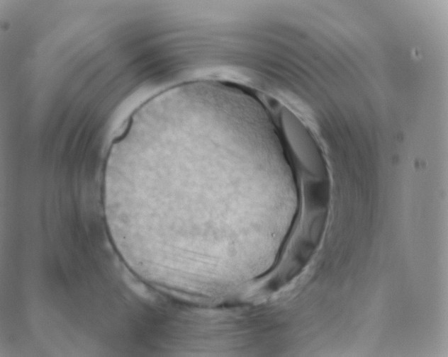 X0000088380816200706191306