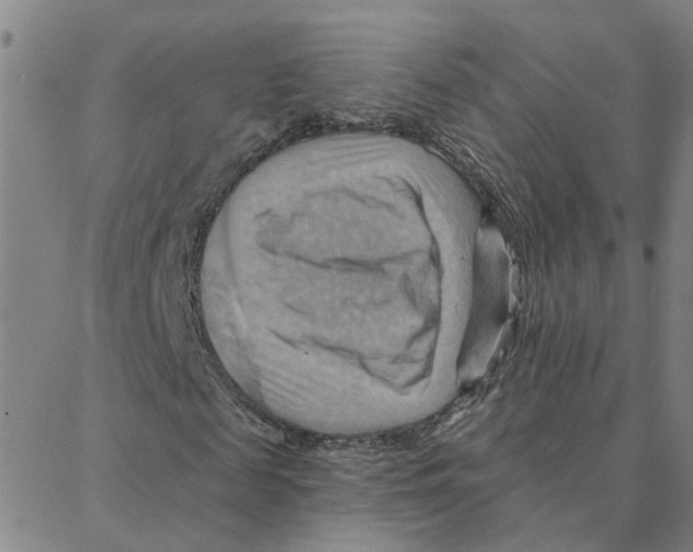 X0000088380817200706191305