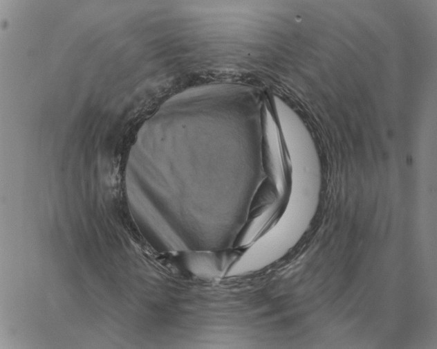 X0000088380818200706191305