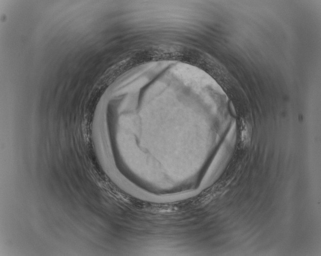 X0000088380819200706191305