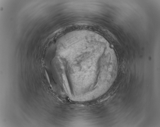 X0000088380821200706191305