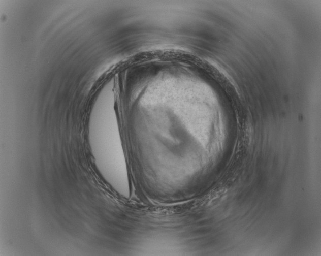 X0000088380823200706191305