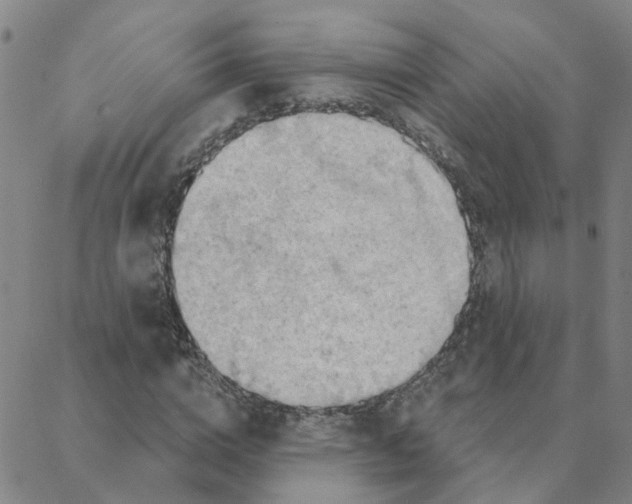 X0000088380824200706191305