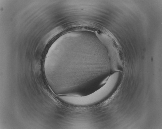 X0000088380826200706191306