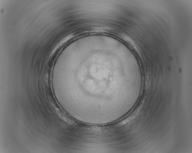 X0000088380827200706191306