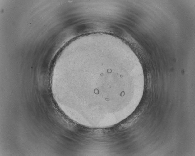 X0000088380828200706191306