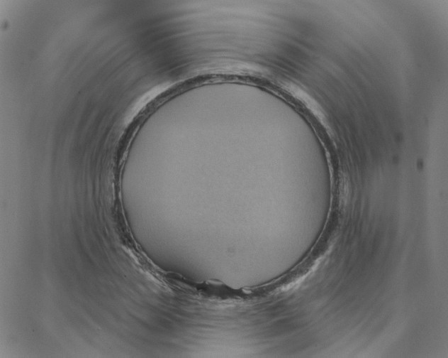 X0000088380829200706191306