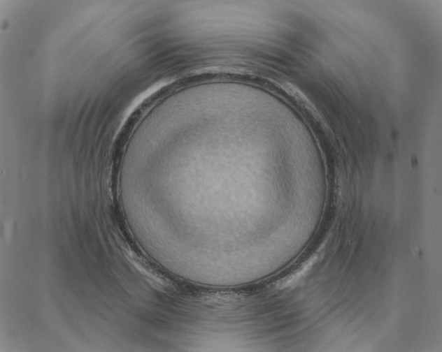 X0000088380830200706191306