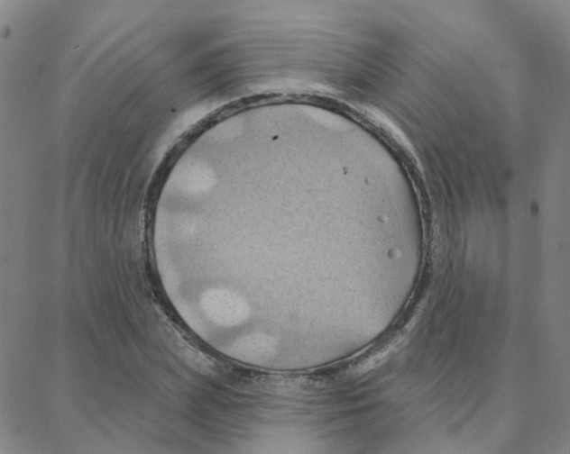 X0000088380831200706191306