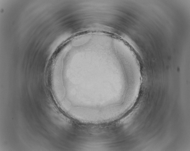 X0000088380832200706191306