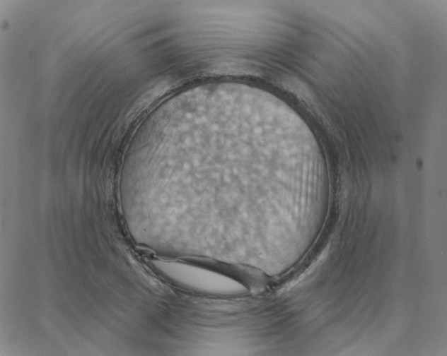 X0000088380833200706191306