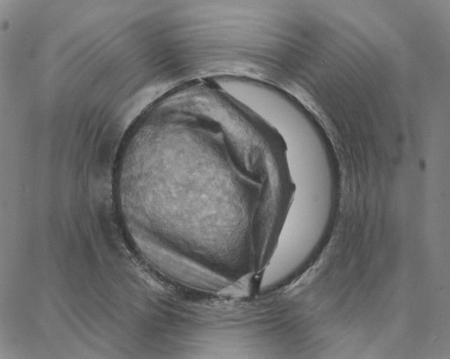 X0000088380834200706191306