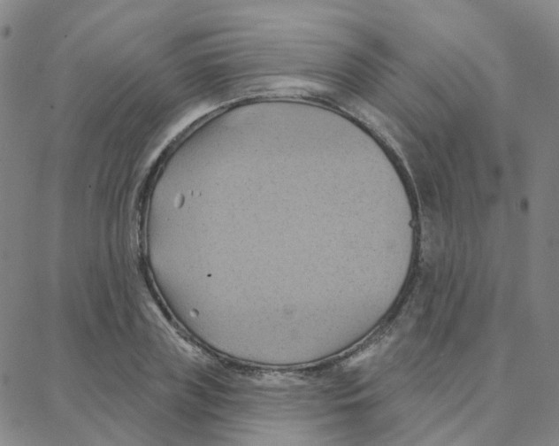 X0000088380835200706191306