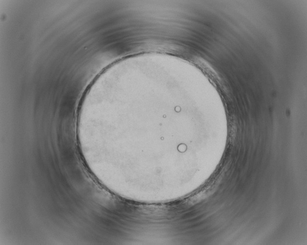 X0000088380836200706191306