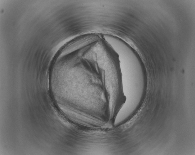 X0000088380838200706191306