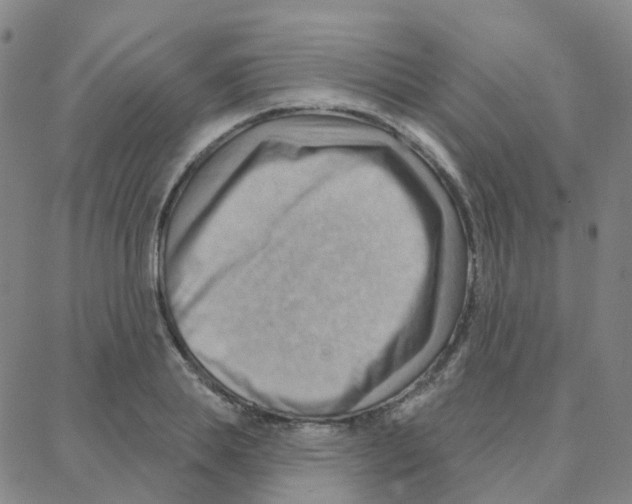 X0000088380839200706191306