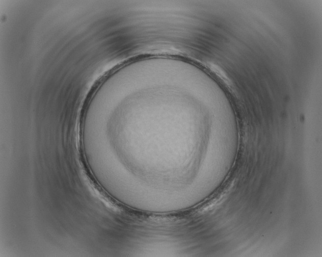 X0000088380840200706191306