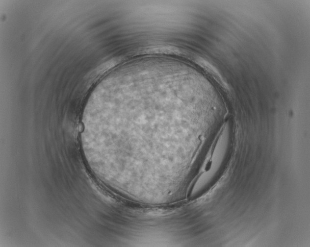 X0000088380841200706191306