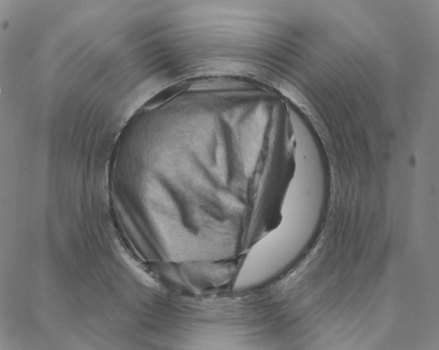 X0000088380842200706191306