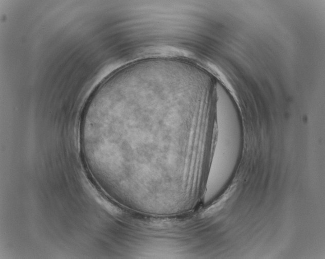 X0000088380843200706191306