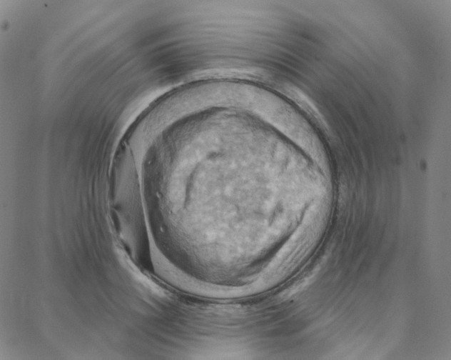 X0000088380844200706191306