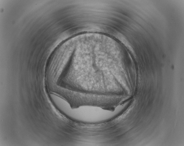 X0000088380845200706191306