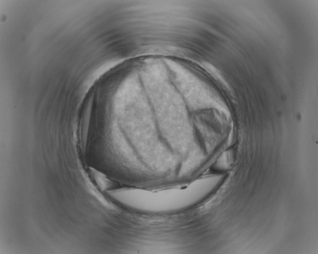 X0000088380846200706191306