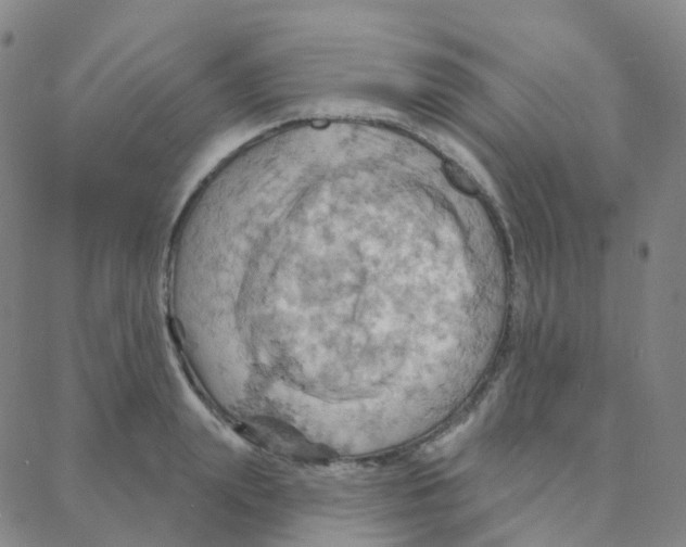 X0000088380847200706191306