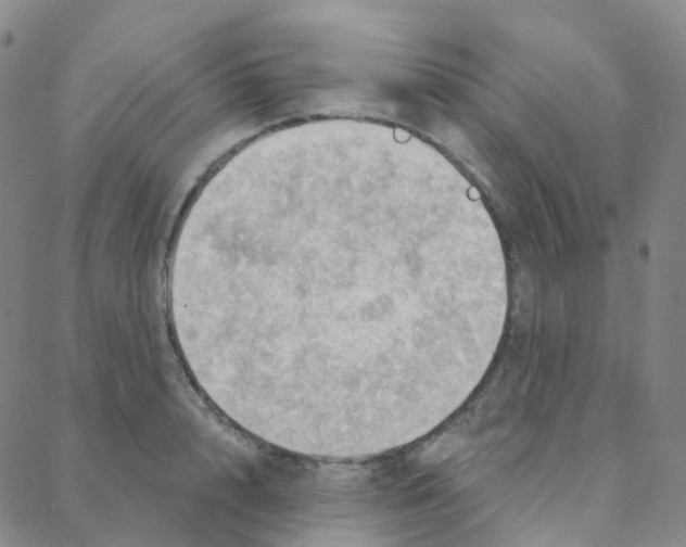 X0000088380848200706191306