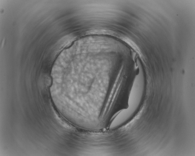 X0000088380849200706191306