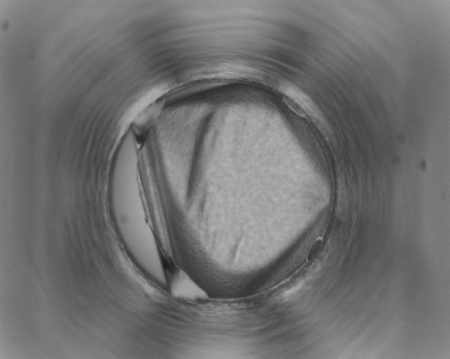 X0000088380850200706191306