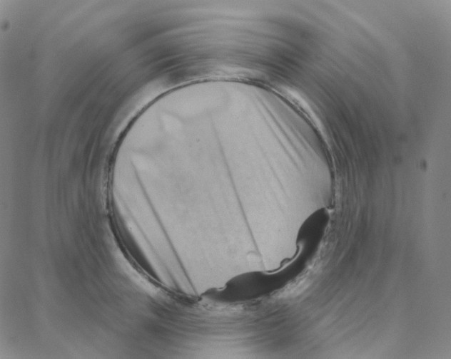 X0000088380851200706191306