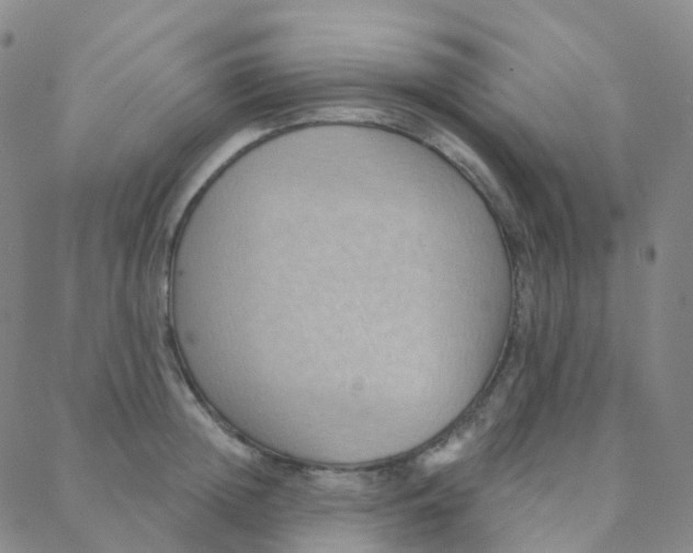 X0000088380852200706191306