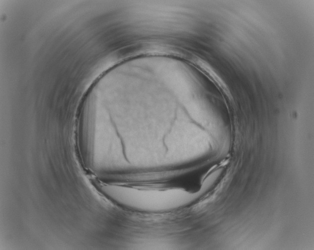 X0000088380853200706191306