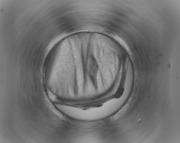 X0000088380854200706191306