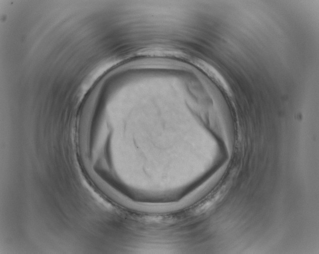 X0000088380855200706191306