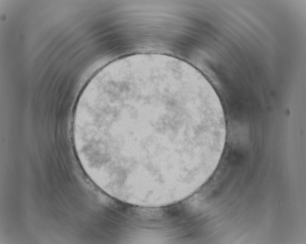 X0000088380856200706191306