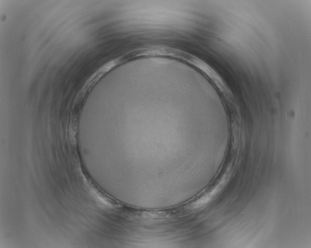 X0000088380857200706191306