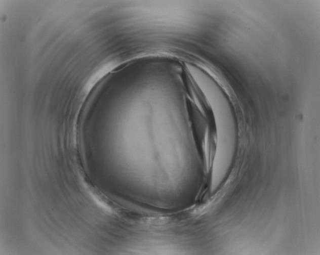 X0000088380858200706191306